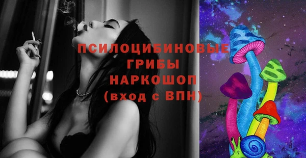 ГАЛЛЮЦИНОГЕННЫЕ ГРИБЫ Алексеевка