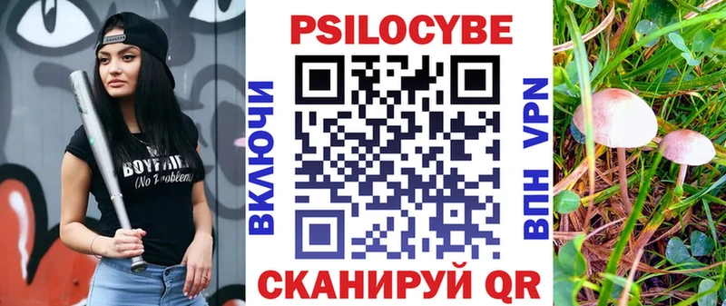 блэк спрут сайт  наркошоп  Вихоревка  Псилоцибиновые грибы мухоморы 